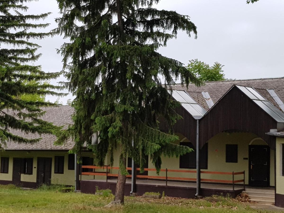 Domus Vendégház Balatonszárszó Kültér fotó